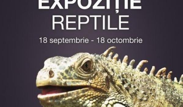 Expozitie reptile_1