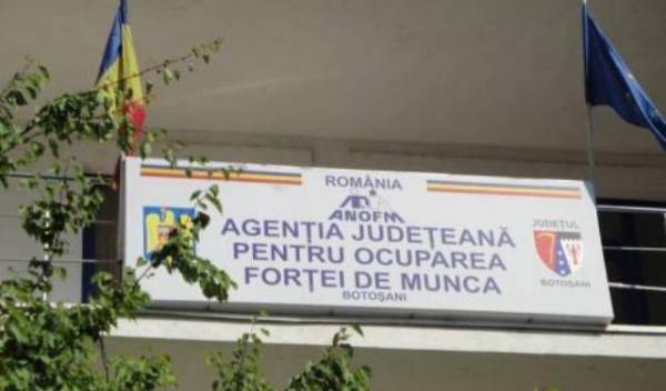 AJOFM Botoșani