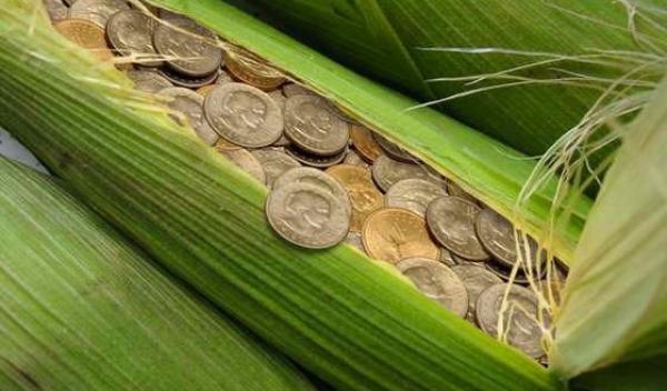 agricultura