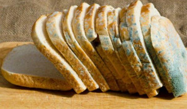 pâinea mucegăită