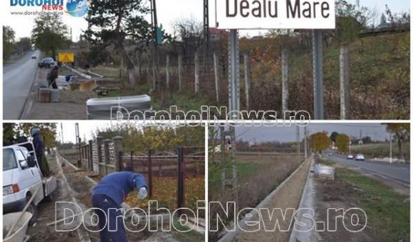 Alee Dealu Mare-Dorohoi_01