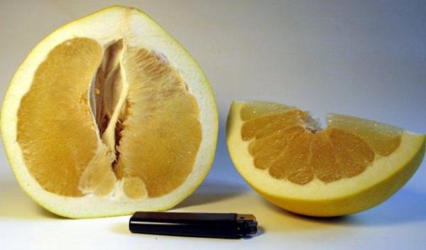 pomelo