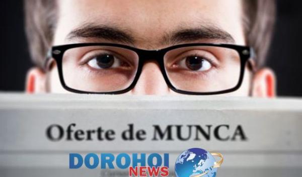 locuri de munca