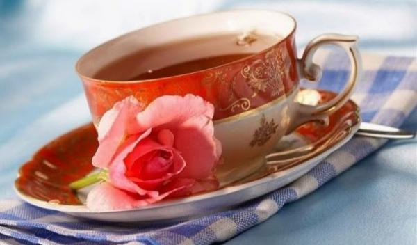 povestea-cescutei