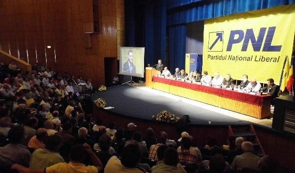 pnl-a-stabilit-candidati-la-botosani