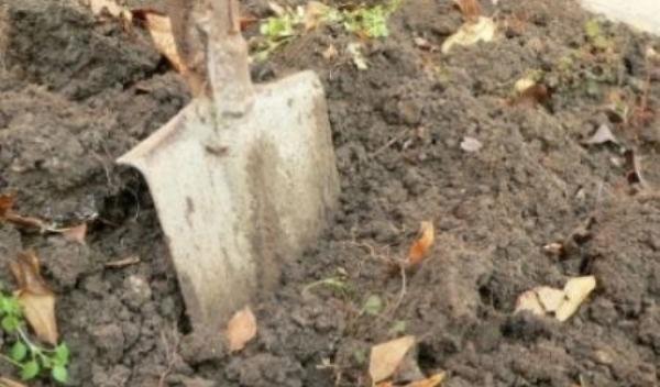 proiectil-sapa-in-gradina