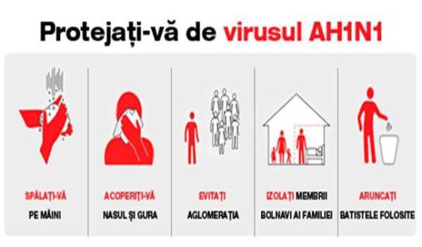 virus AH1N1