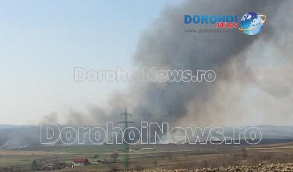 Incendii Iezer si Hudesti_05