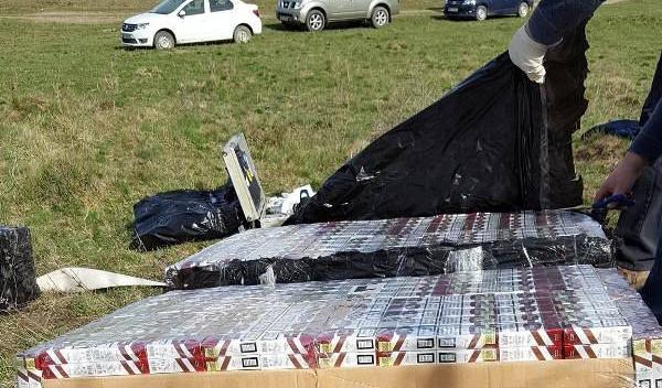 Tigari contrabanda Radauti Prut