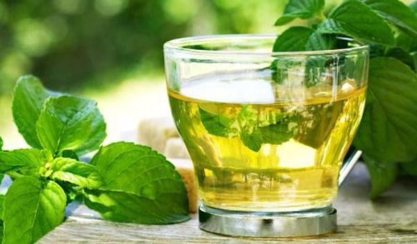 Cum te poate ajuta menta să slăbeşti | zeinherbal.ro