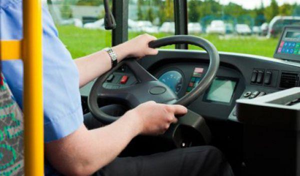 sofer autobuz fara permis