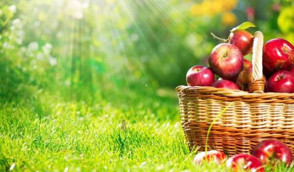 Agricultura