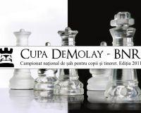 Cupa_sah