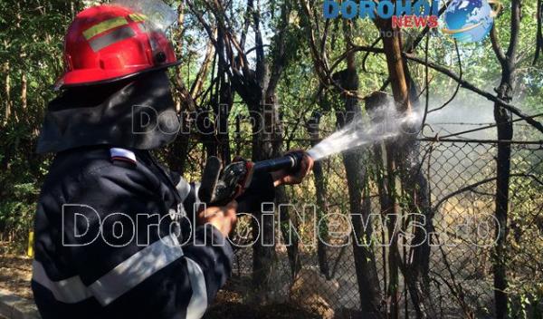 Incendiu Aleea Vicotriei Dorohoi_04