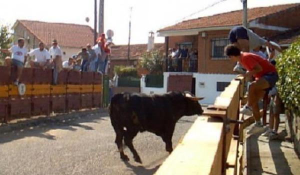 minora-romanca-atacata-de-un-taur-in-spania