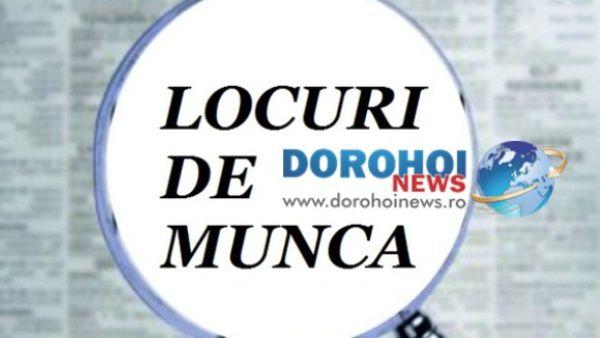 locuri de muncă vacante 01