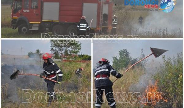 Incendiu Dealu Mare_01