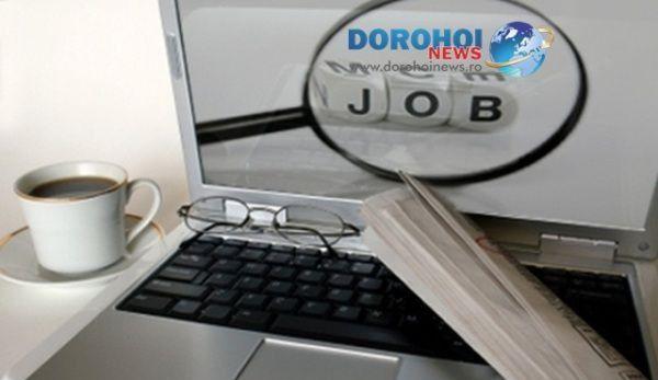locuri de muncă vacante