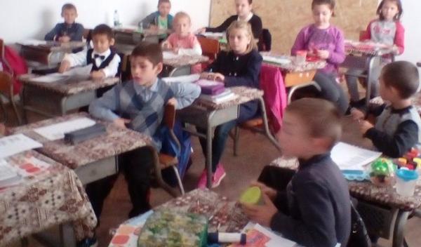 Scoala Dimitrie Romanescu Dorohoi 003