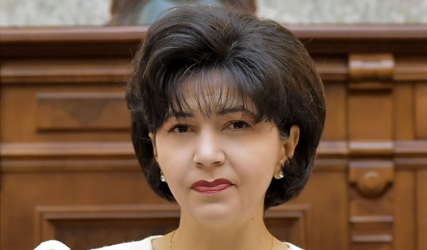 poza doina federovici senat