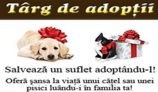 Targ de adoptii