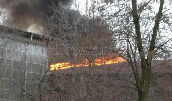 incendiu fabrica 010