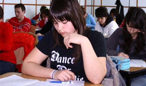 elevi