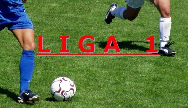 liga1 FC Botoșani - ACS Poli Timișoara