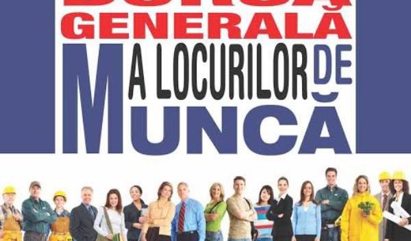 bursa locuri de munca_d