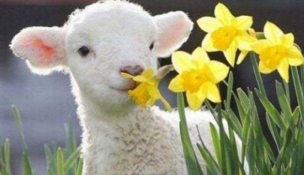 Vremea de Florii şi de Paşte