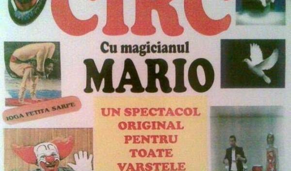 Circ bun