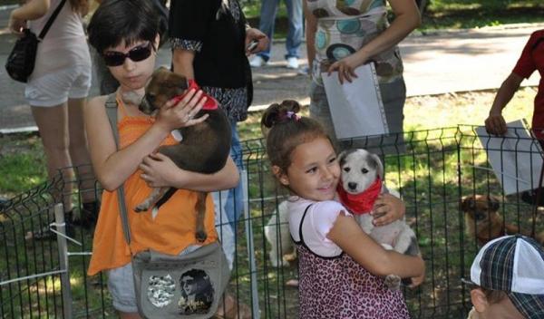 ADOR_ADOPTII_CATEI003