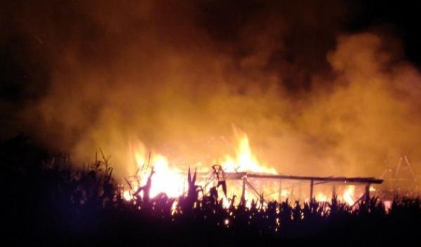incendiu furaje