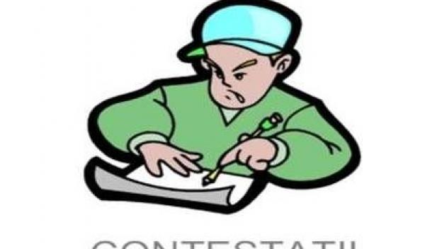contestatii titularizare