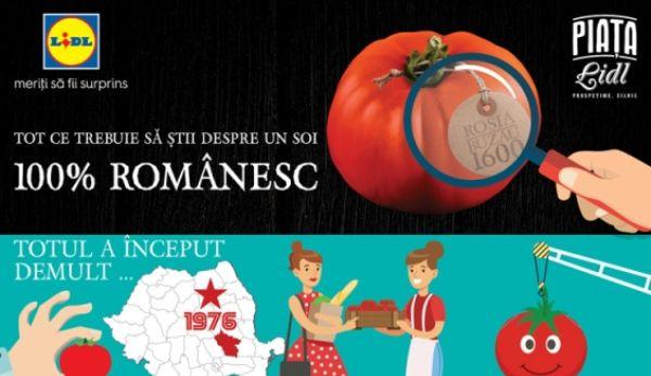 Rosia de Buzau Lidl Romania