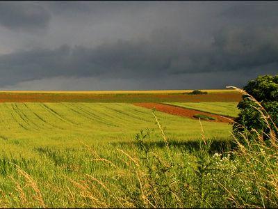 agricultura
