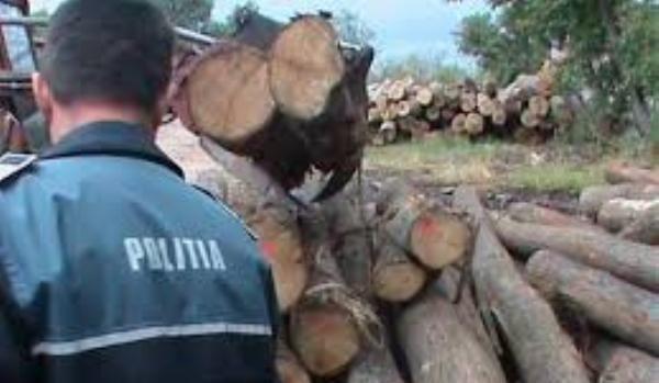 Material lemnos confiscat