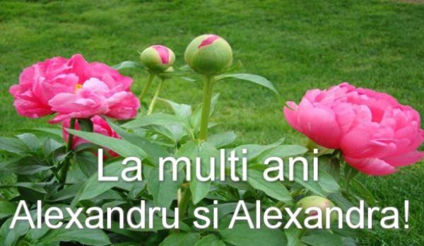 alexandru-alexandra