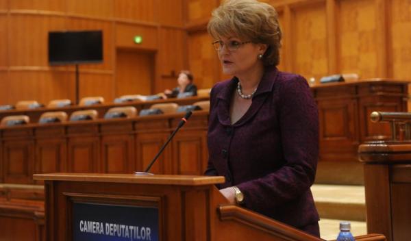 Hunca Mihaela - deputat