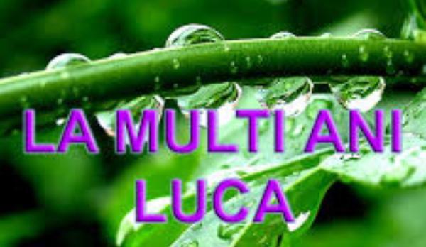 la multi ani Luca