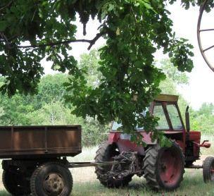 tractor