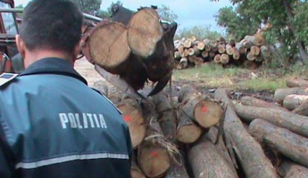 Material lemnos confiscat