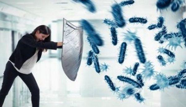 bacterii