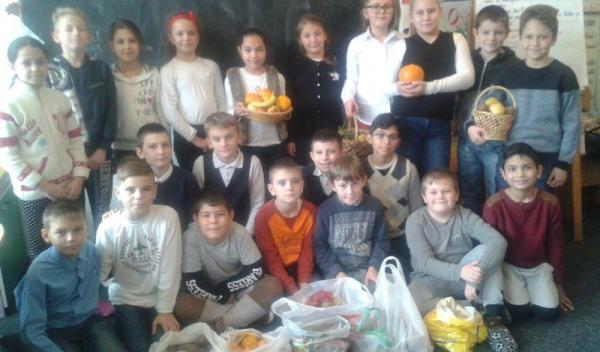 ai cuza dorohoi01