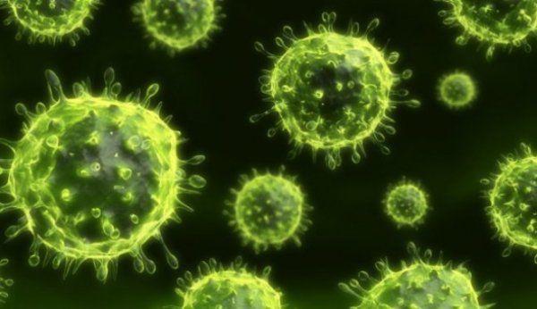virus