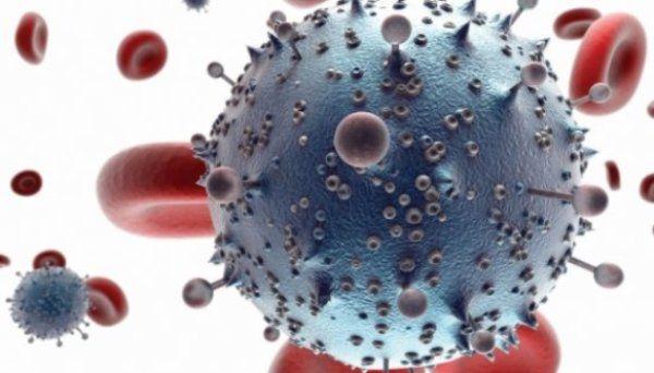 virus_leucemie
