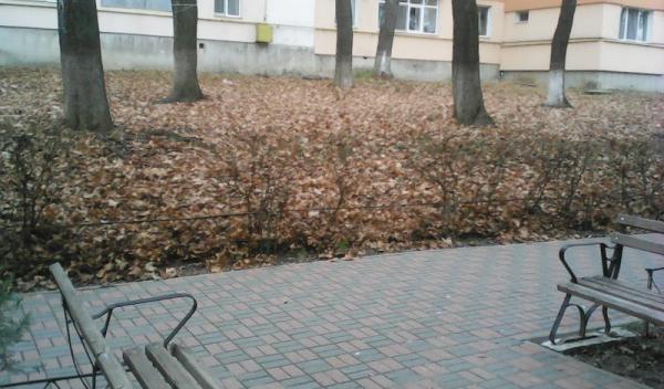 dorohoi 22 decembrie 2017