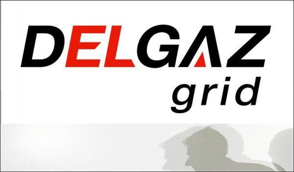DELGAZ grid - Anunt intrerupere energie electrica. Vezi zonele vizate!