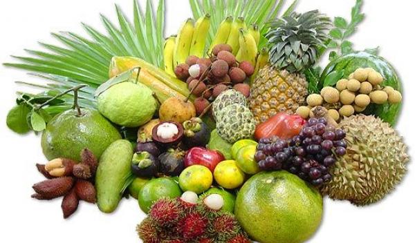 fructe