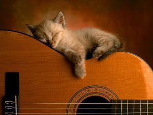 concurs de folk